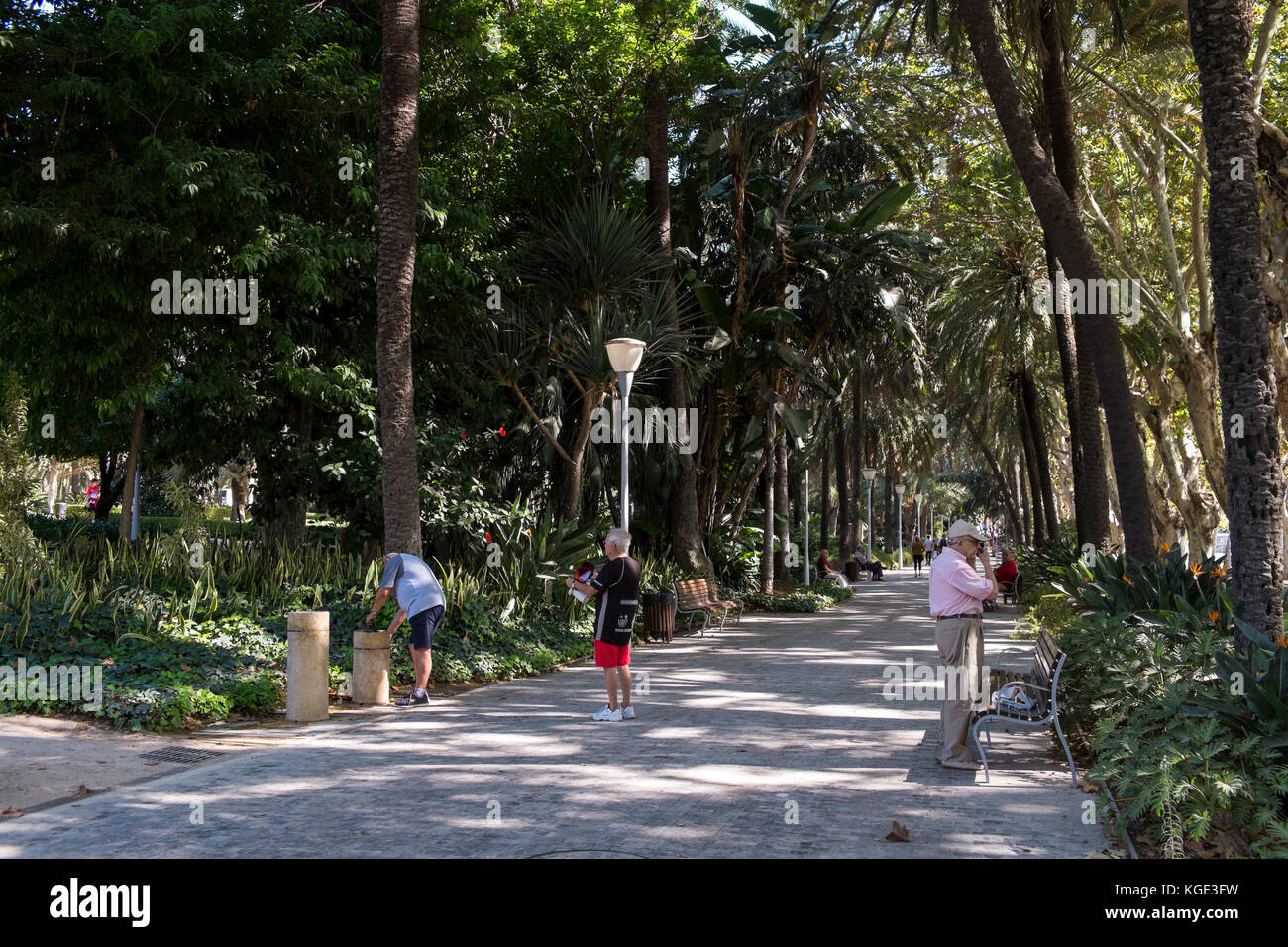 Málaga park. Andalusia, Spagna. Foto Stock