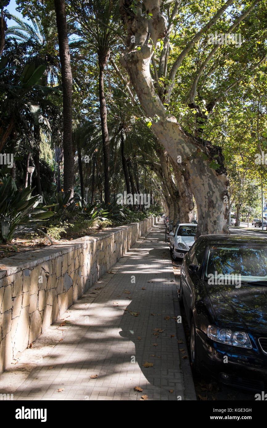 Paseo de los Curas. Málaga, Andalusia, Spagna. Foto Stock