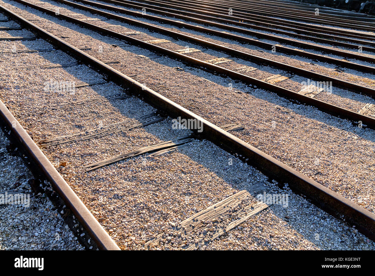 Vista prospettica di più rotaie ferroviarie come linee diagonali. Ingegneria Ferroviaria o il trasporto tema sfondo. Foto Stock