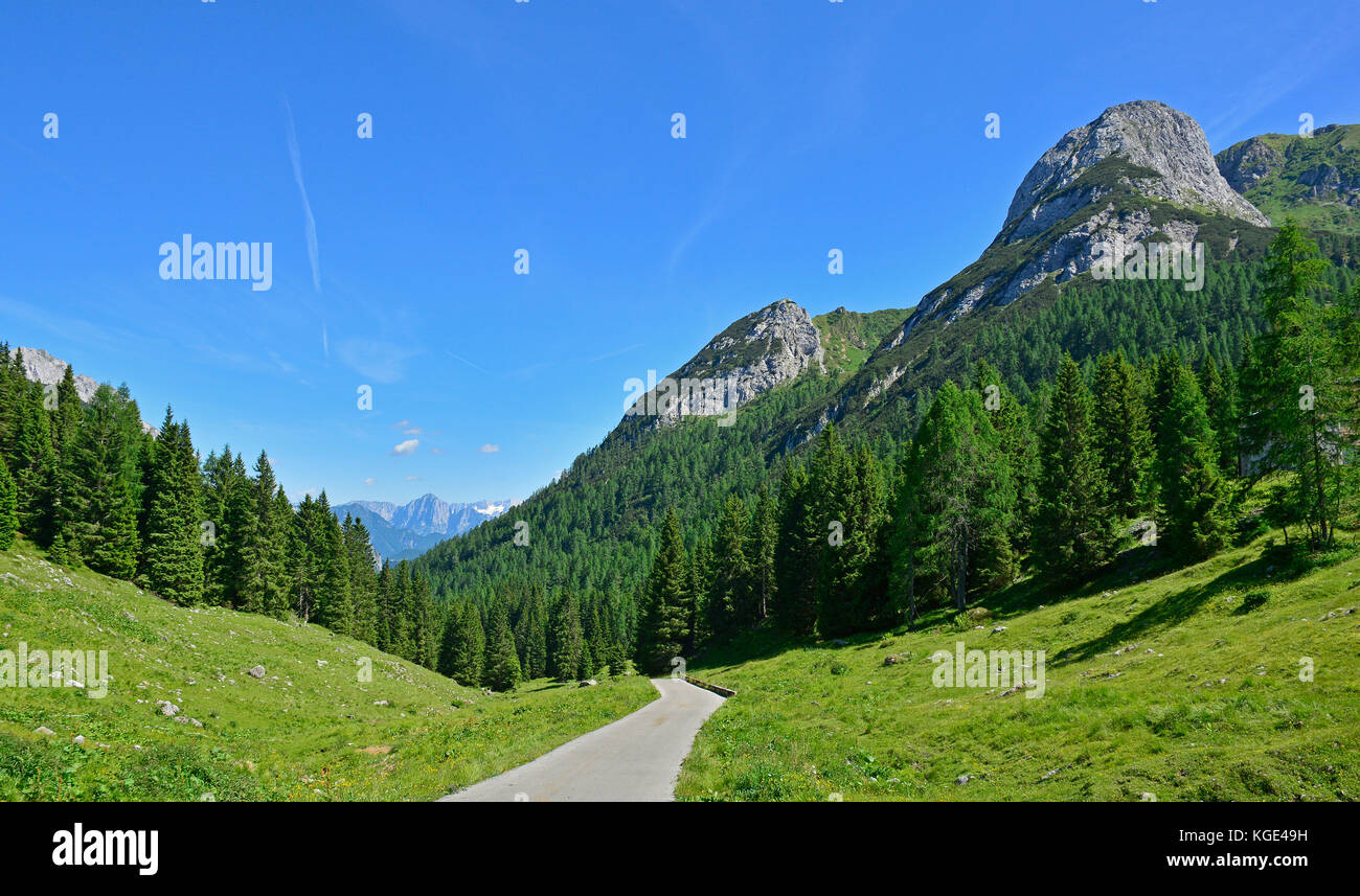 La metà di giugno del paesaggio rurale che mostra le Alpi Carniche intorno al cason di lanza paularo vicino, friuli venezia giulia, NORD EST ITALIA Foto Stock