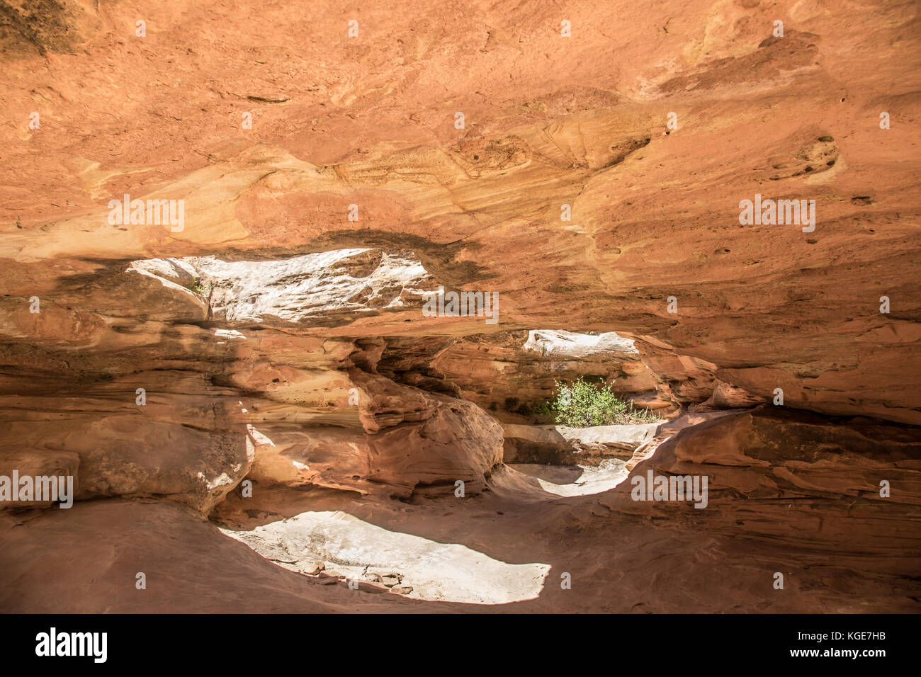 Capitol Reef, Utah parchi nazionali. canyon, sentieri,ponti naturali, formazioni rocciose e di campagna. Foto Stock