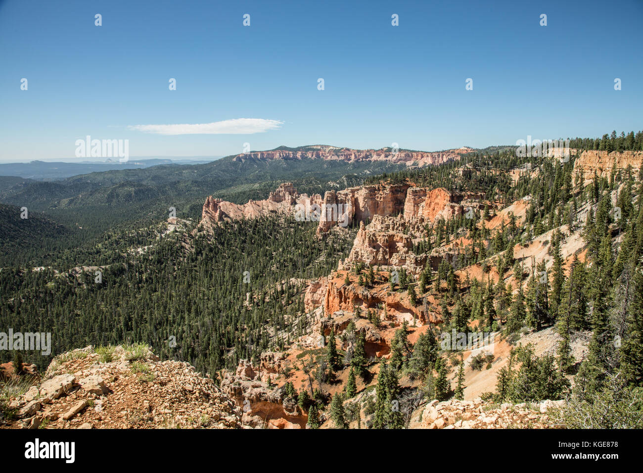 La pirateria punto, Bryce Canyon dello Utah parchi nazionali. canyon, sentieri,ponti naturali, formazioni rocciose e di campagna. Foto Stock