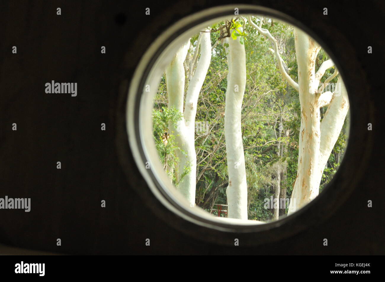 Isolamento dal mondo naturale, Townsville, Queensland, Australia Foto Stock