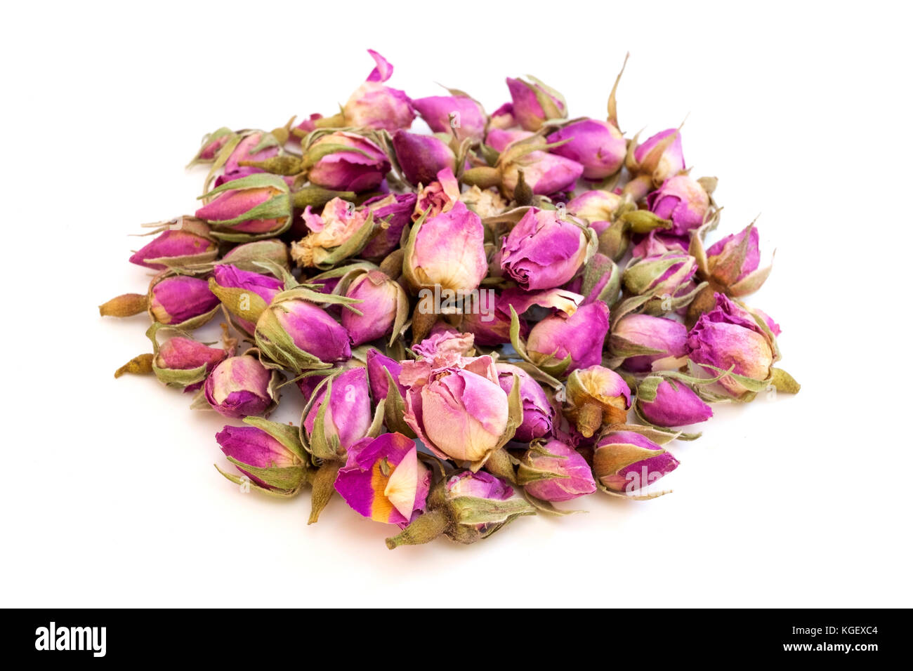 Rosa rosebuds essiccato su sfondo bianco Foto Stock