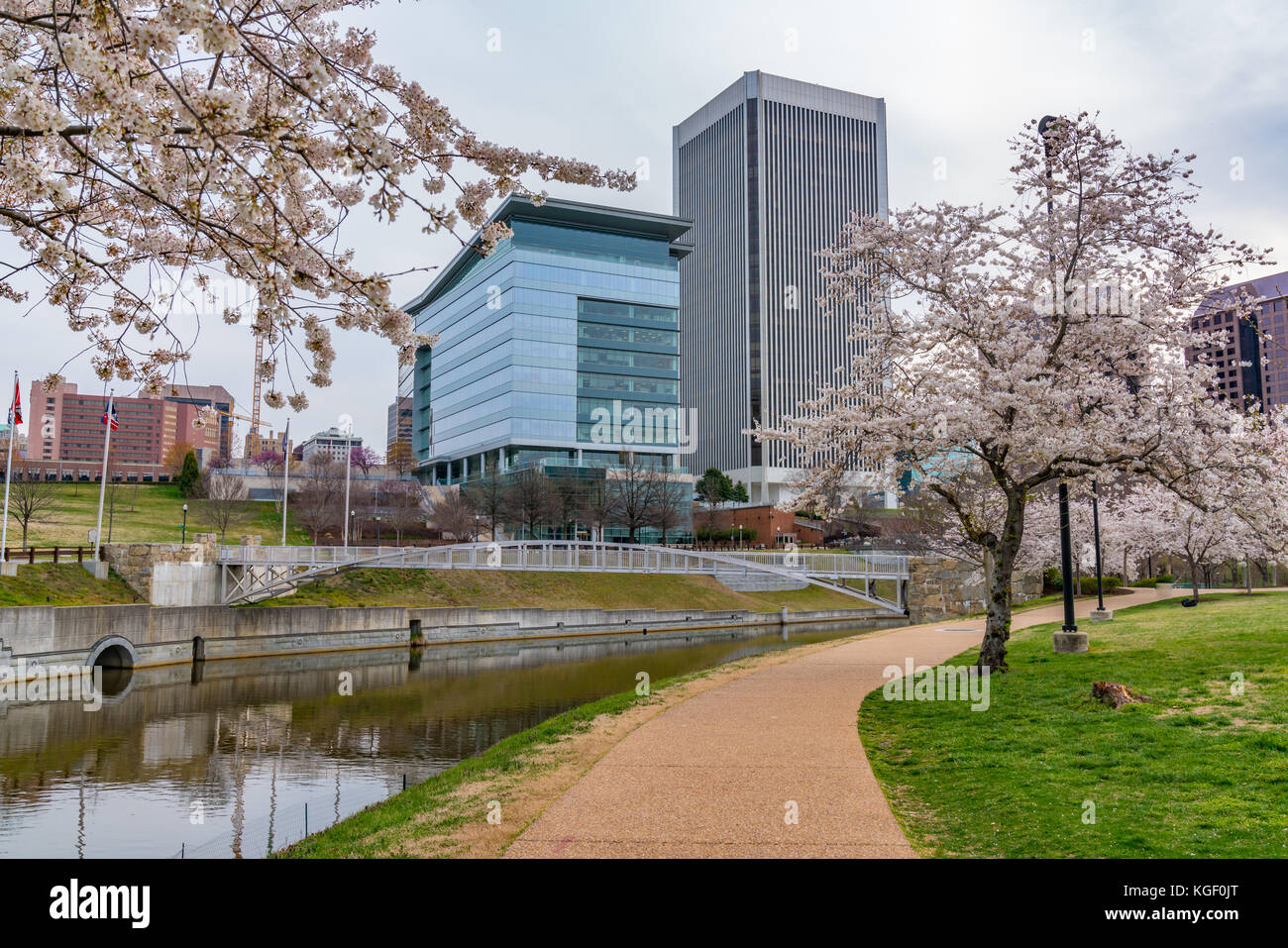 Richmond, Virginia, skyline mattutino della città lungo il fiume James vicino a Brown's Island e Tredegar St durante la fioritura dei ciliegi. Foto Stock