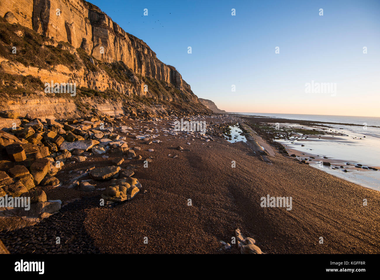 Hastings Sea Cliffs - Rocks Falls e Peregrine Falcons. Un posto meraviglioso ma pericoloso che è stato presentato sulla TV nazionale. Foto Stock