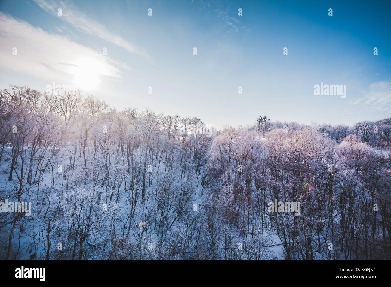 Il pupazzo di neve paesaggio invernale nel bosco innevato Foto Stock
