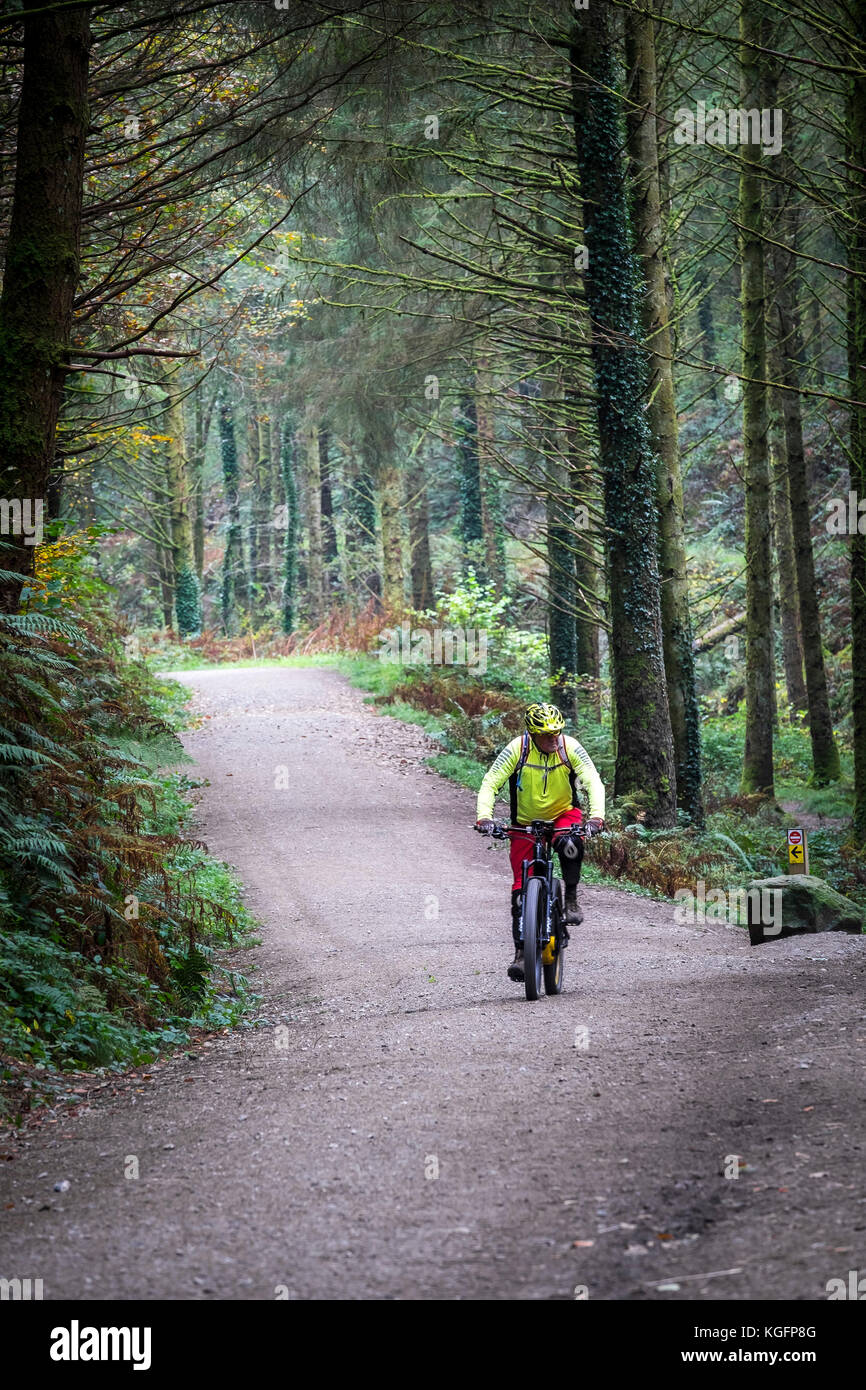 Un mountain biker in sella lungo una via in boschi Cardinham in Cornovaglia. Foto Stock