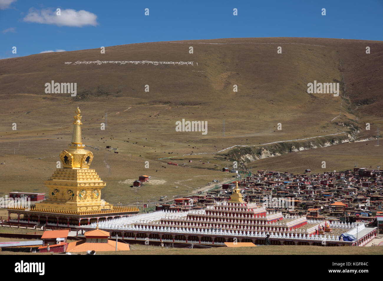 Gli stupa in tibetano yarchen gar monastero nel Sichuan, in Cina Foto Stock