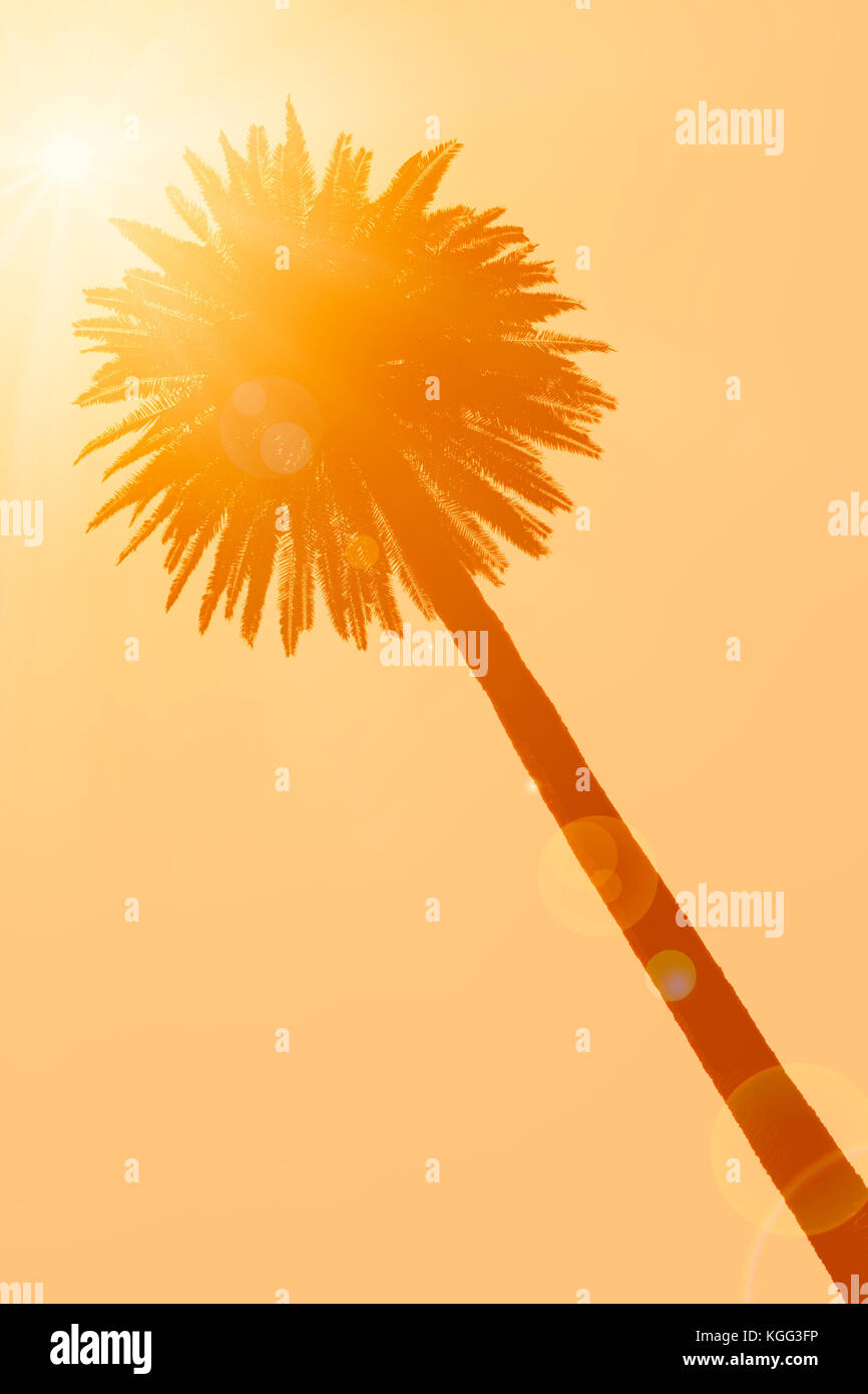 Silhouette del palm tree su sfondo arancione con Sun Foto Stock