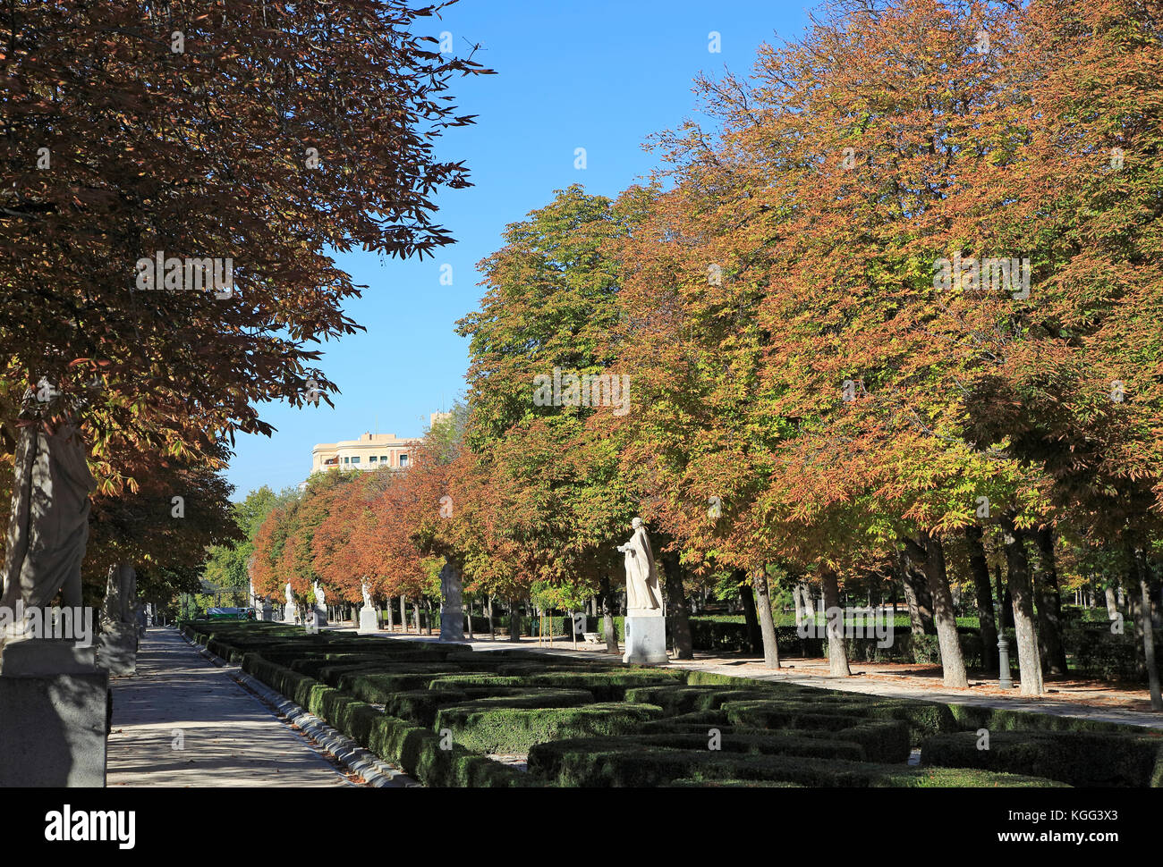 Alberi in autunno a colori, Paseo de la Argentina, El Retiro Park, Madrid, Spagna Foto Stock