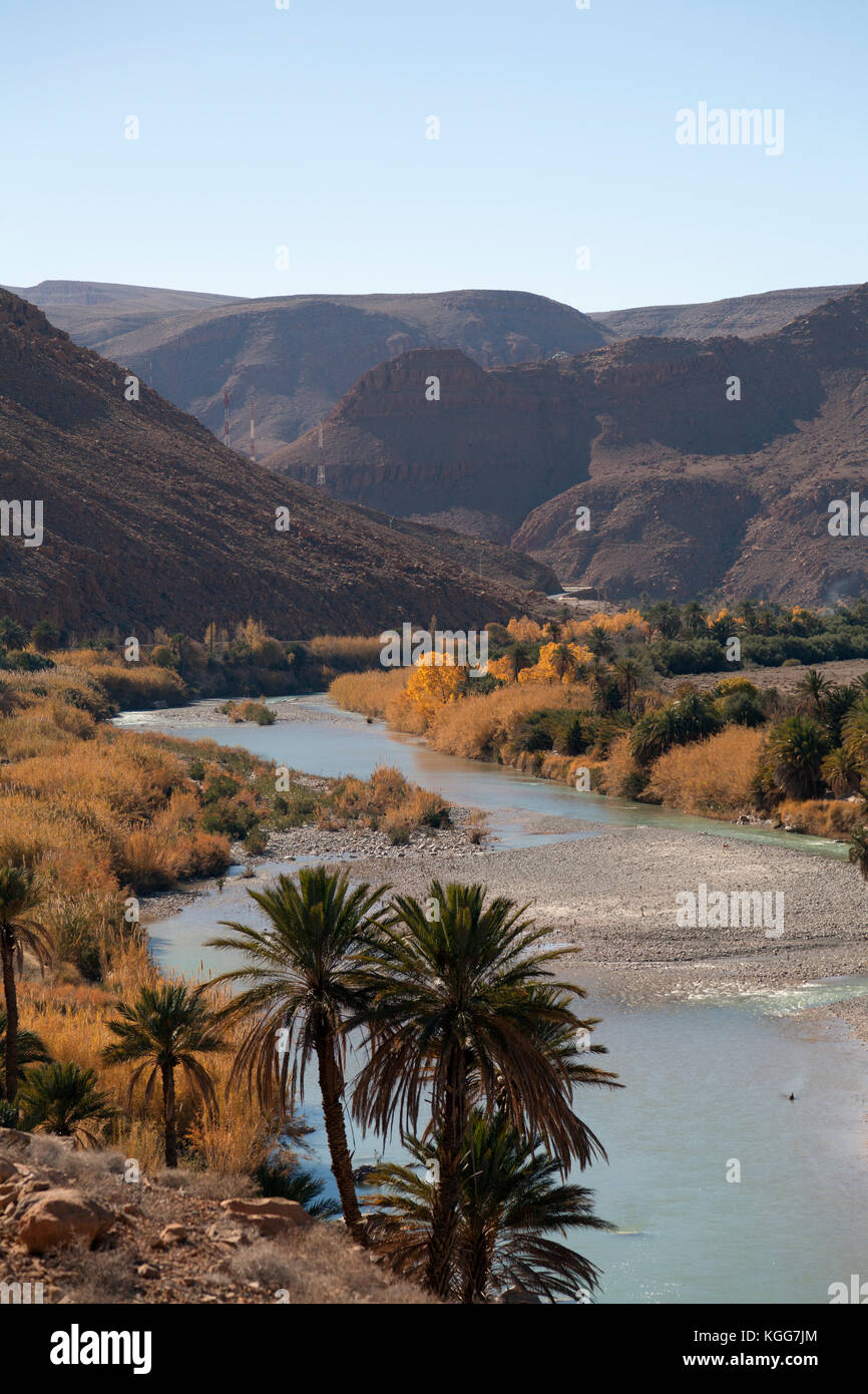 Il Marocco, oasi a Gorges du Ziz. Foto Stock