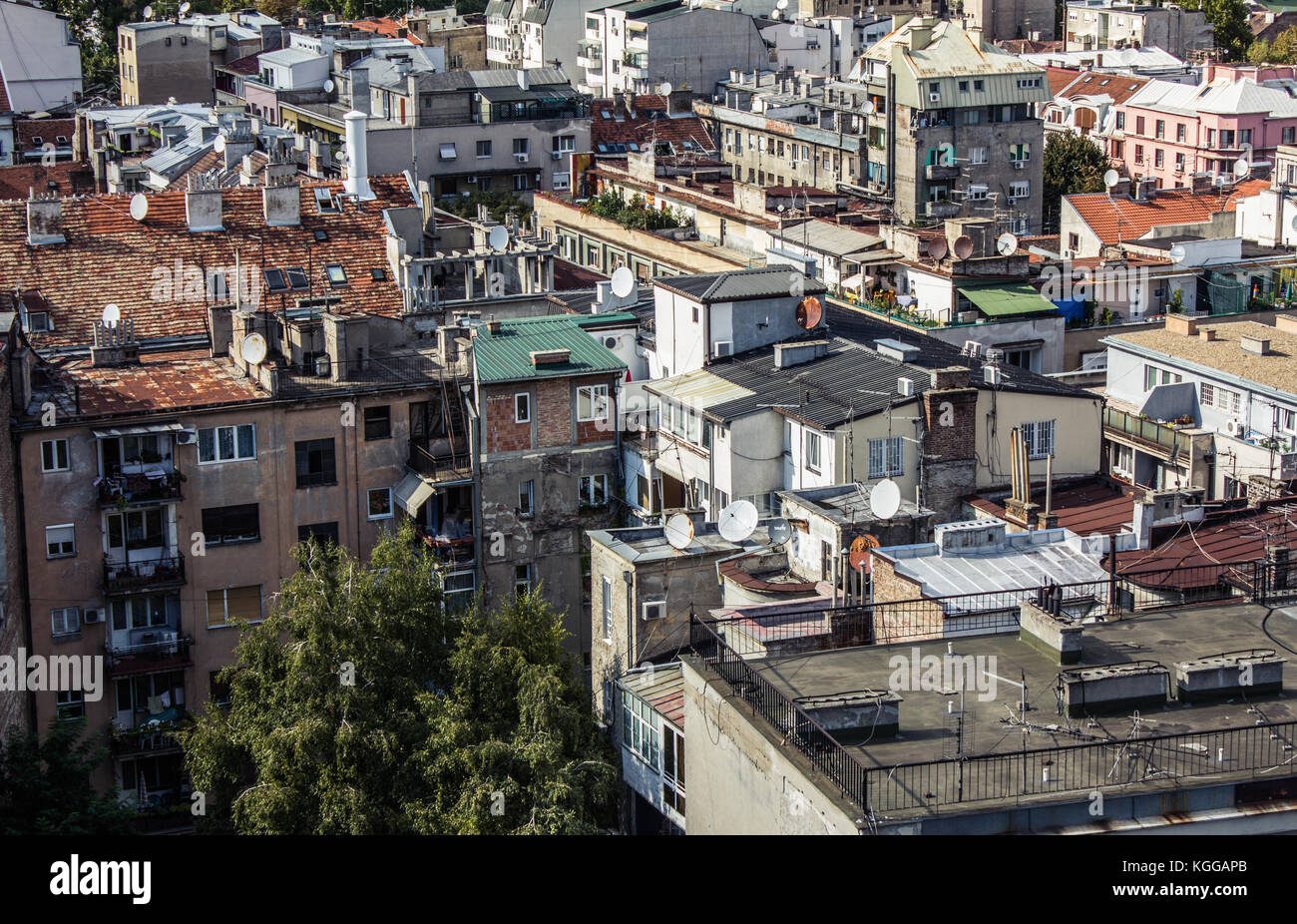 Densa giungla urbana a Belgrade Centro, serbia Foto Stock
