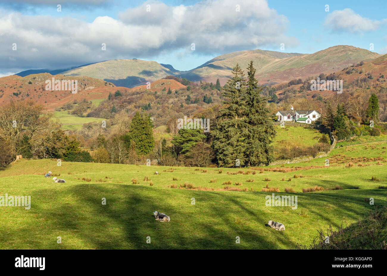 Guardando verso Fairfield Horseshoe da sopra Skelwith Bridge, Lake District Foto Stock