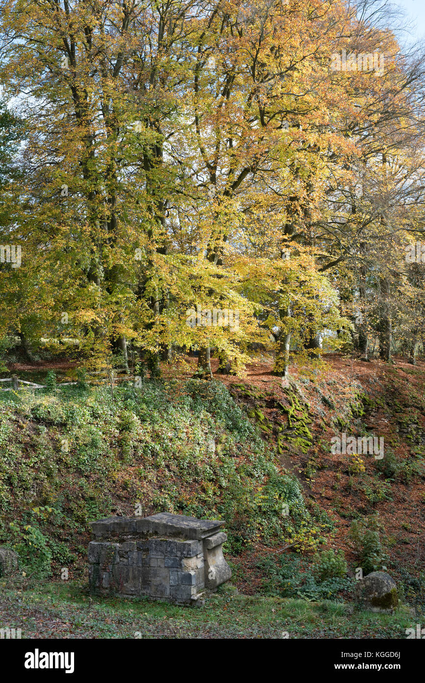 Autunno faggi lungo il terrapieno al vecchio cotswold Sapperton Canal Tunnel e il Tunnel Inn. Coates, Cirencester, Gloucestershire, Regno Unito Foto Stock