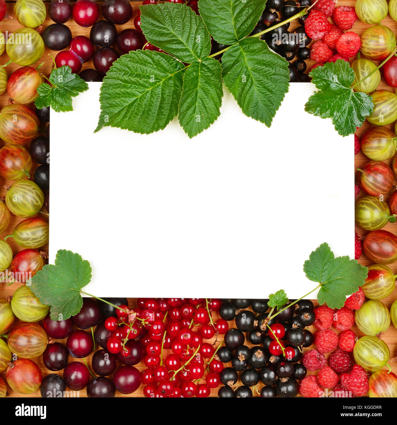 Scheda ricetta sullo sfondo dei frutti di bosco freschi (lamponi, ribes, uva secca di Corinto). vista dall'alto. Foto Stock
