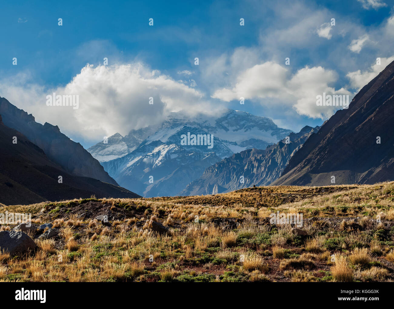 Monte Aconcagua, Horcones Valley, Parco Aconcagua, centrale Ande, Provincia di Mendoza, Argentina Foto Stock