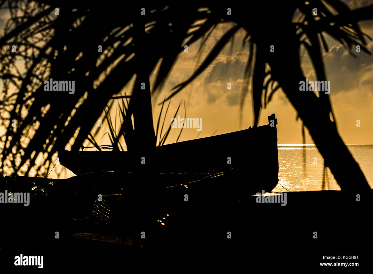 Imbarcazione in una calda luce del mattino su una spiaggia con moody sky. Foto Stock