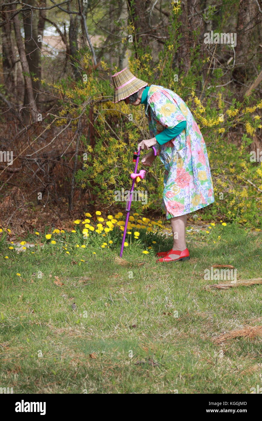 donna di giardinaggio Foto Stock