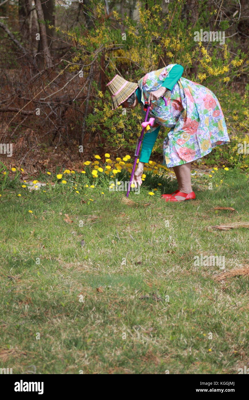 donna di giardinaggio Foto Stock