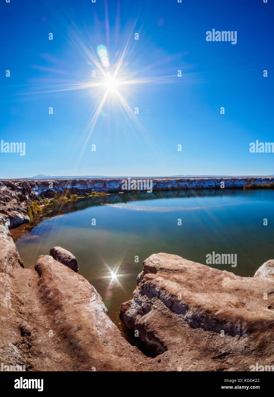 Ojos del Salar Laguna, Salar de Atacama vicino a San Pedro de Atacama, Regione di Antofagasta, Cile Foto Stock