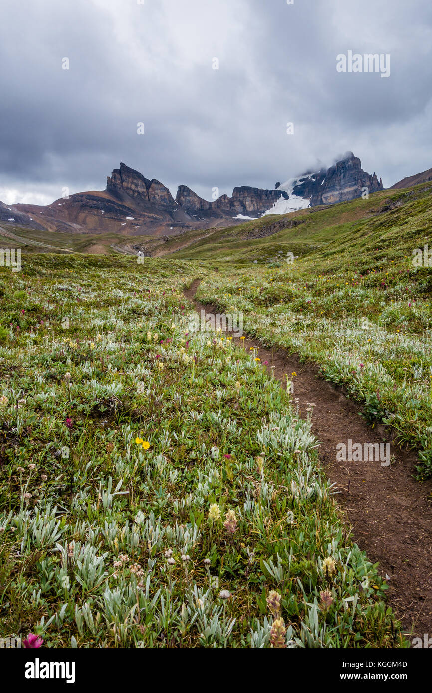 Deserto trail nel incontaminato ambiente montano Foto Stock