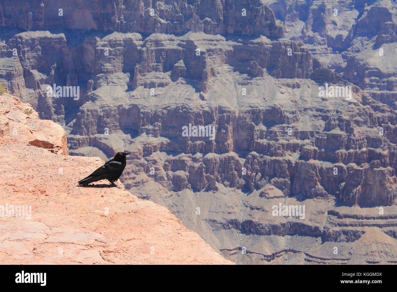 Grand Canyon West Foto Stock