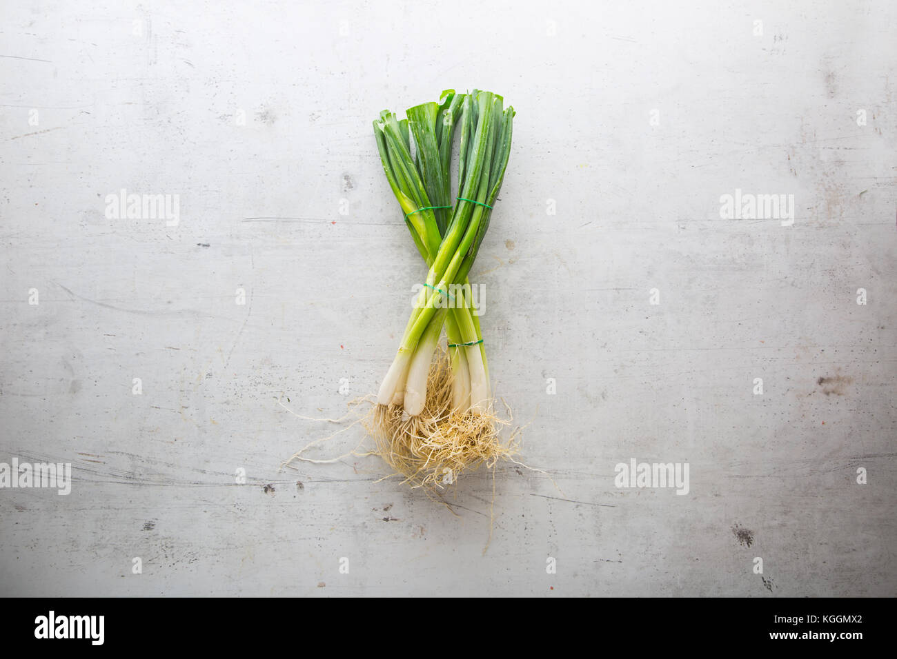 Parte superiore di vista fresca giovani cipolla bianca su sfondo di calcestruzzo. Foto Stock