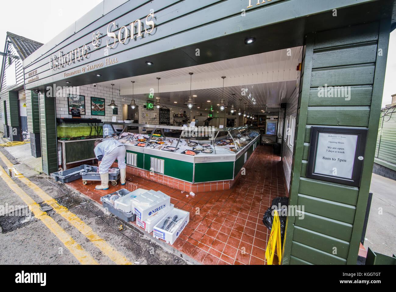 Osborne & Sons pescivendolo & Seafood hall la vendita di pesce fresco, compresi i pesci e i crostacei sbarcati dalle barche di pescatori locali, Leigh on Sea, Essex Foto Stock
