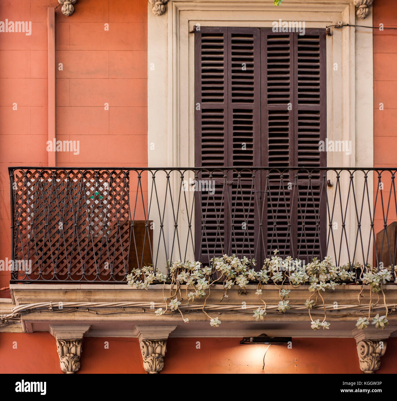 Sentieri di succulenti off balcone di rustico townhouse in palma de mallorca Foto Stock