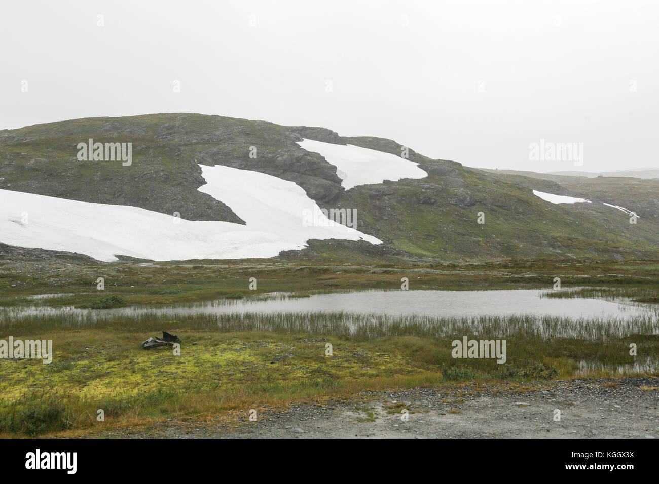 La nazionale vikafjellsvegen itinerari turistici a vik, Norvegia Foto Stock