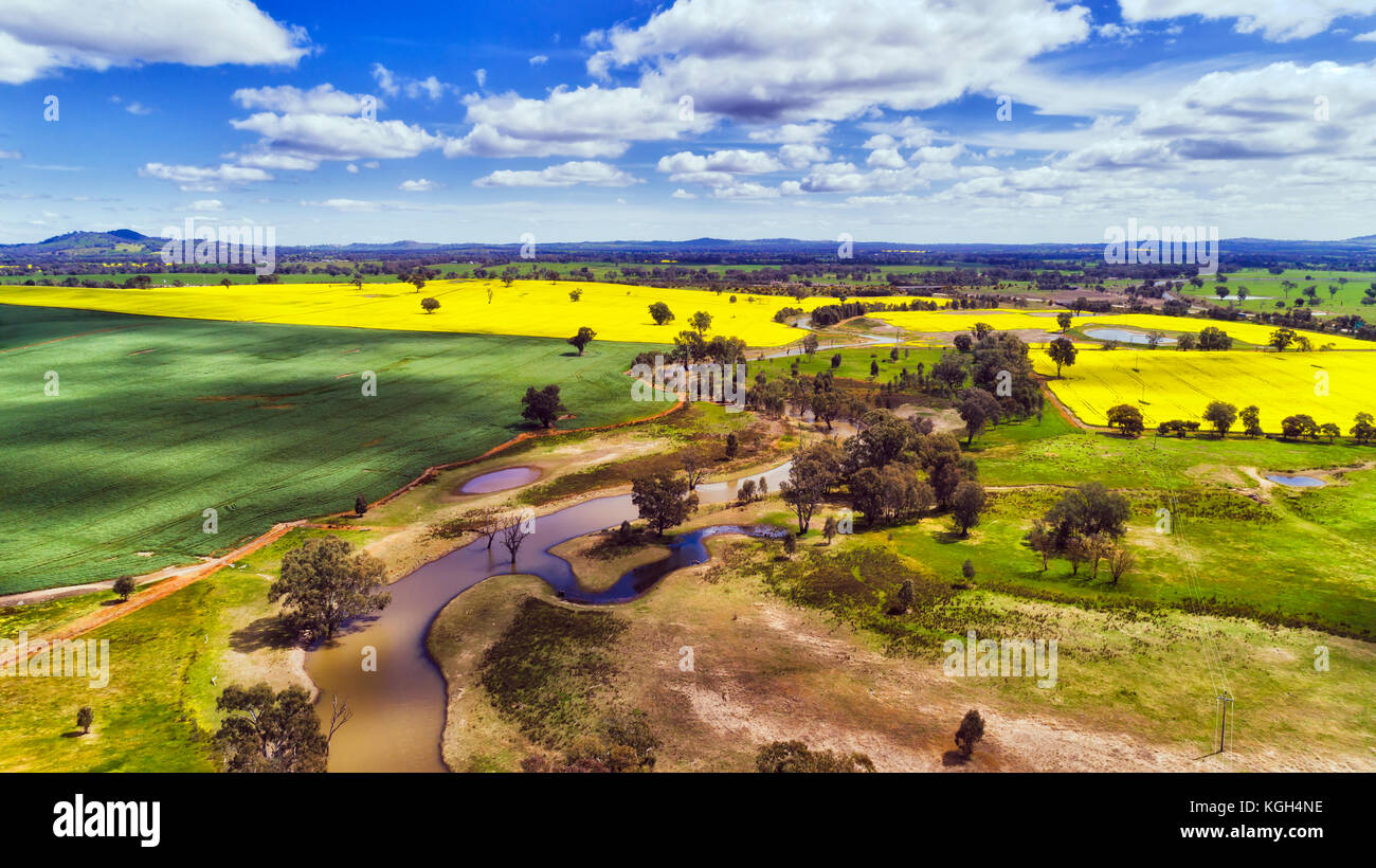 Elevata mid-vista aerea di ricchi terreni agricoli coltivati in bowna creek presso il lago di Hume e il fiume Murray nelle zone rurali del NSW durante la canola impianti stagione di fioritura. Foto Stock