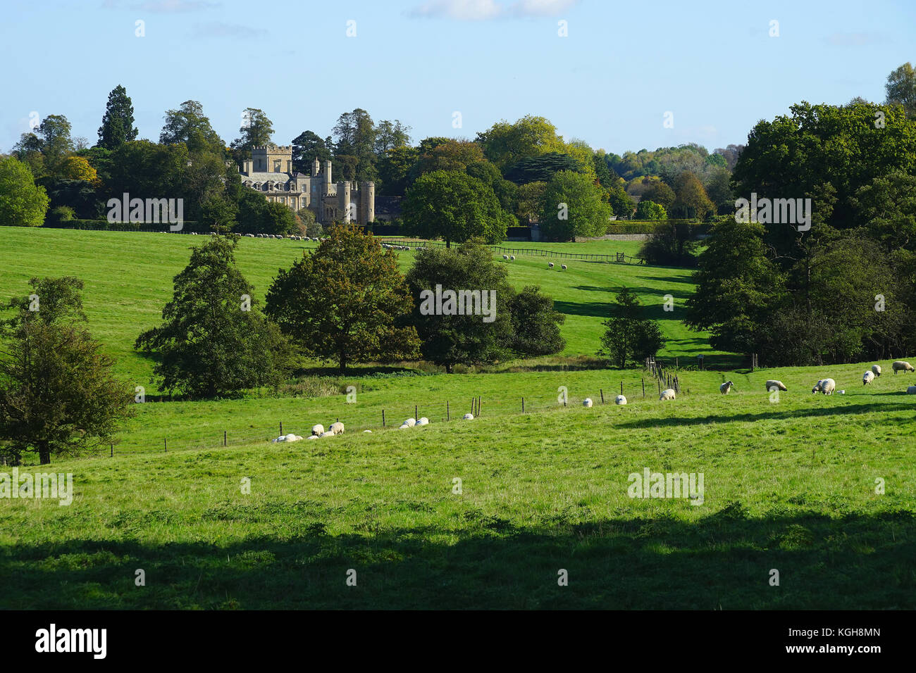 Una vista attraverso il parco di Elton Hall, Cambridgeshire Foto Stock