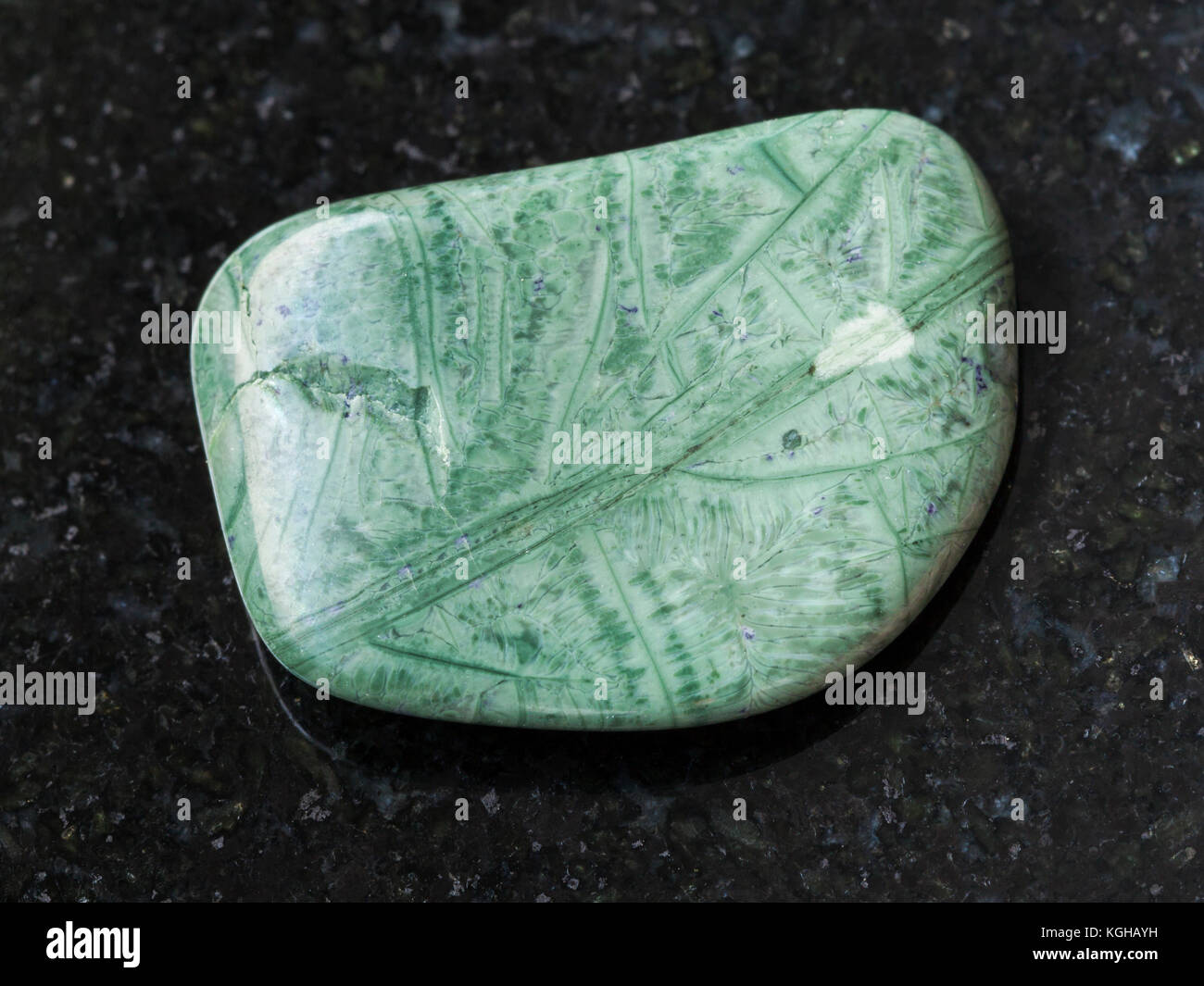 Le riprese in modalità macro di minerale naturale campione di roccia - lucidato tinguaite gemma sul granito scuro lo sfondo da monti khibiny, penisola di Kola, russi Foto Stock