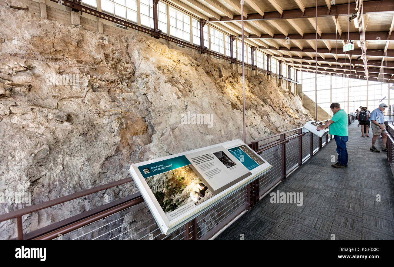 Visitatori & fossili di dinosauro alla cava - Dinosaur National Monument, UT Foto Stock