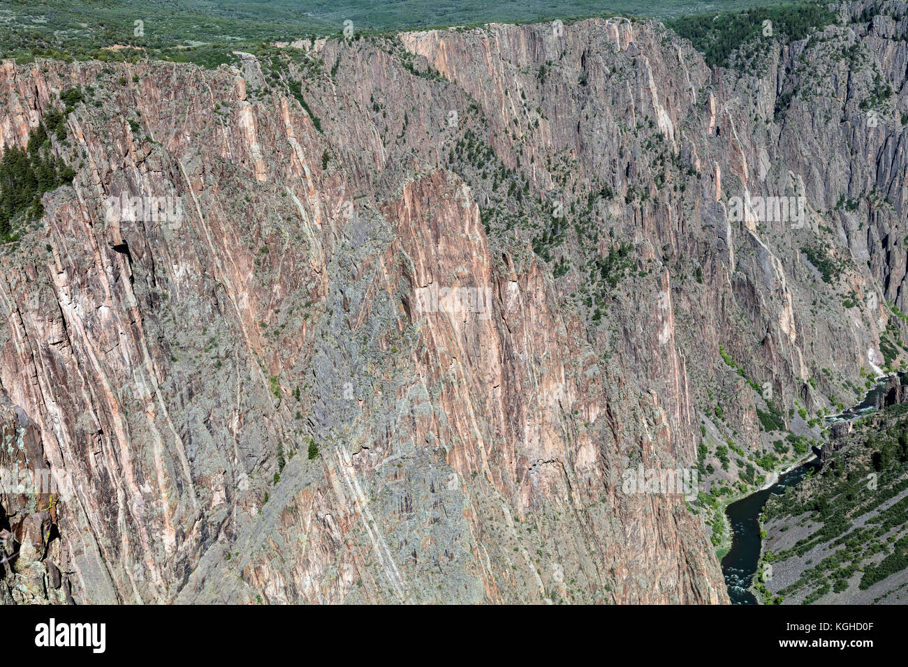 Intrusioni di pegmatite mostrato nella parete a strapiombo, Black Canyon del Gunnison, Colorado Foto Stock
