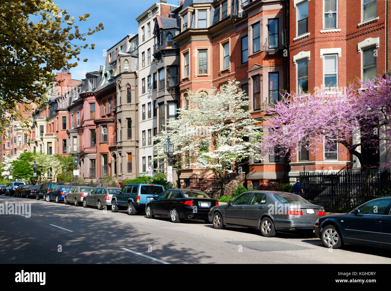 Back Bay di Boston. architettura vittoriana e alberi ornamentali che fiorisce in primavera Foto Stock