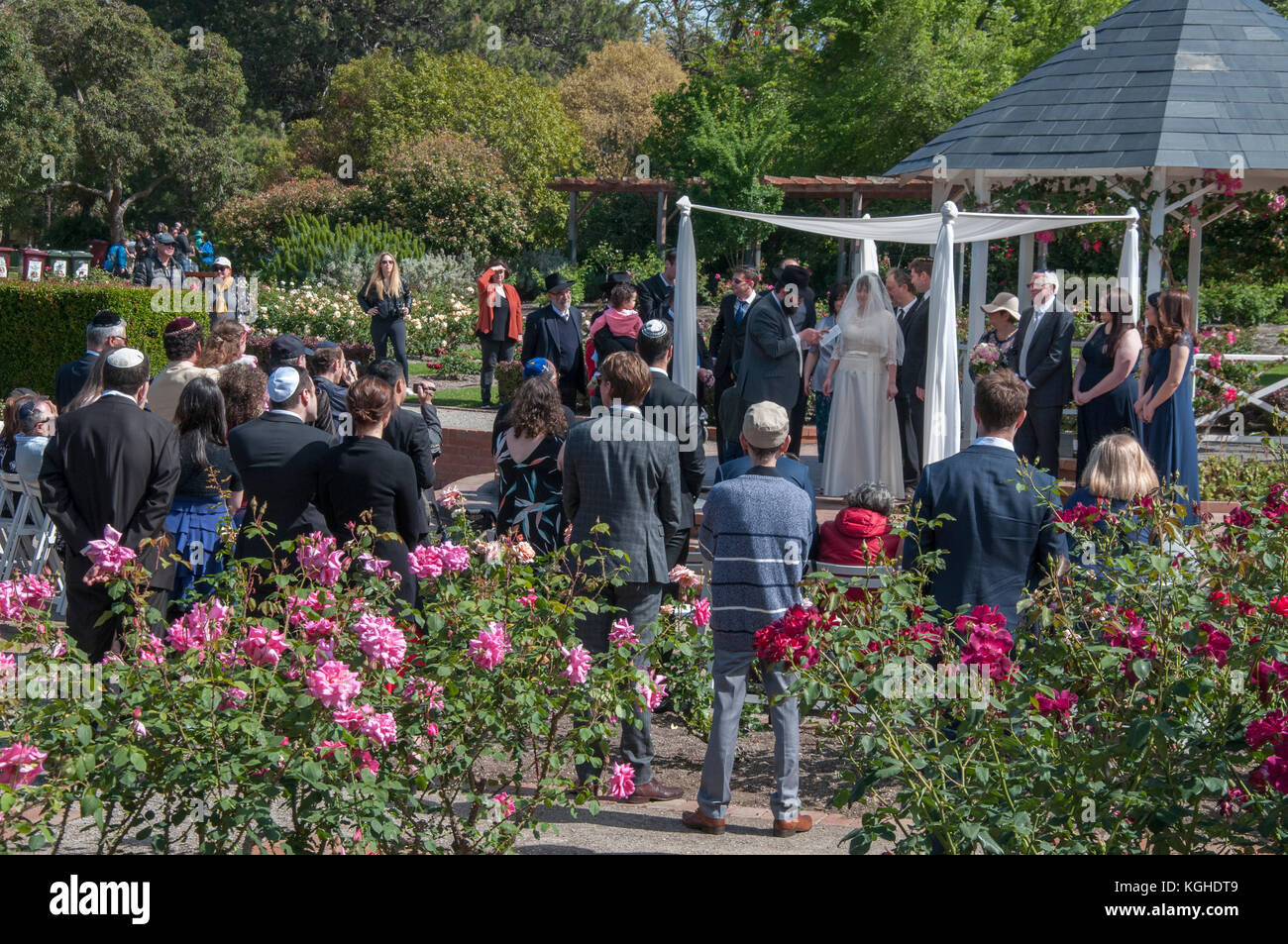 Open-air ebraica cerimonia di nozze in corso in St Kilda Botanical Gardens, Melbourne, Australia Foto Stock