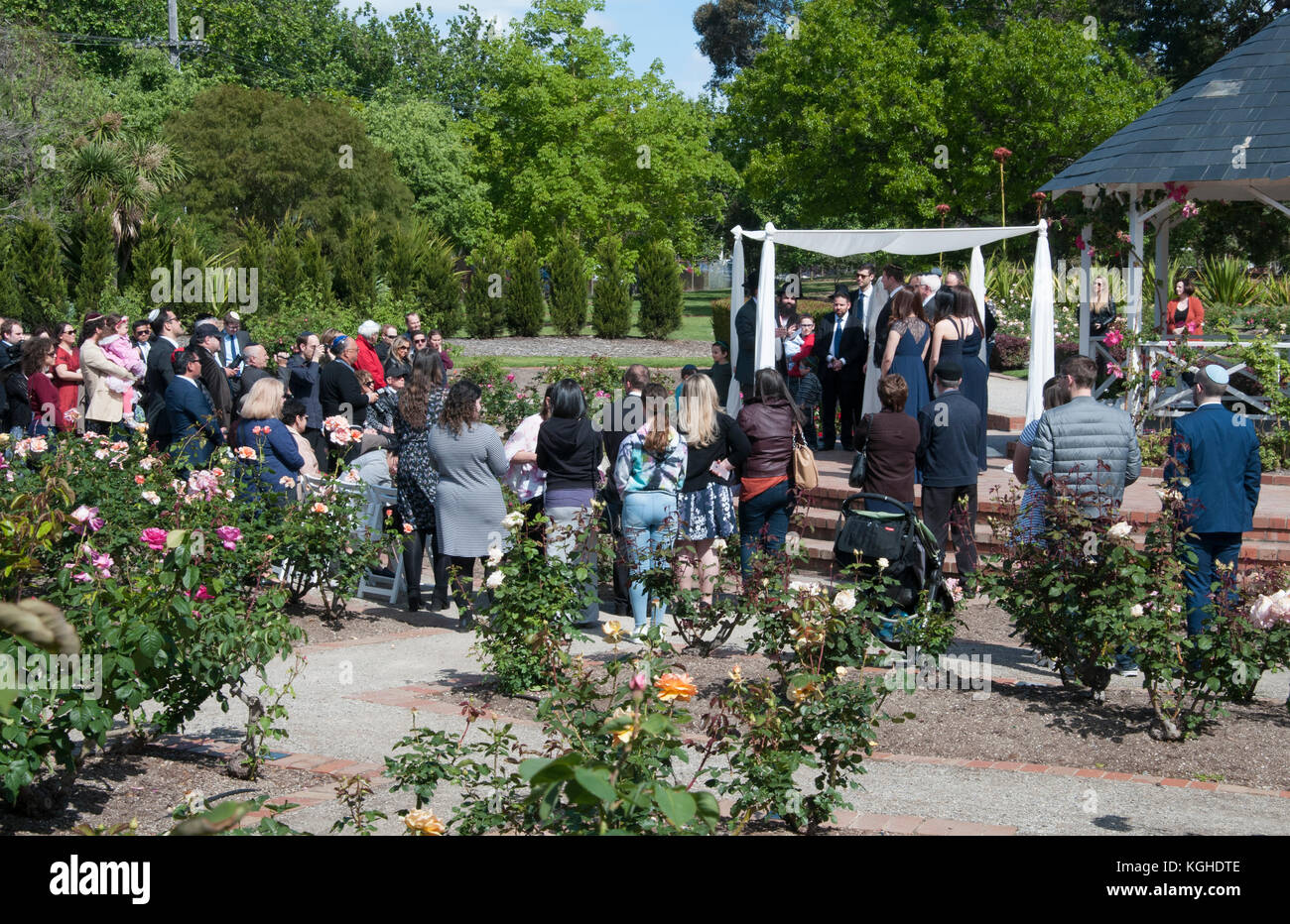 Open-air ebraica cerimonia di nozze in corso in St Kilda Botanical Gardens, Melbourne, Australia Foto Stock