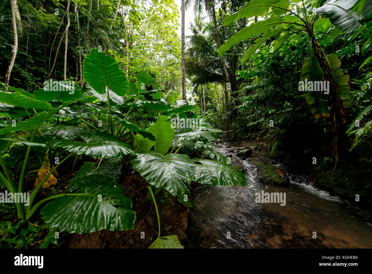 São Tomé e Príncipe Foto Stock