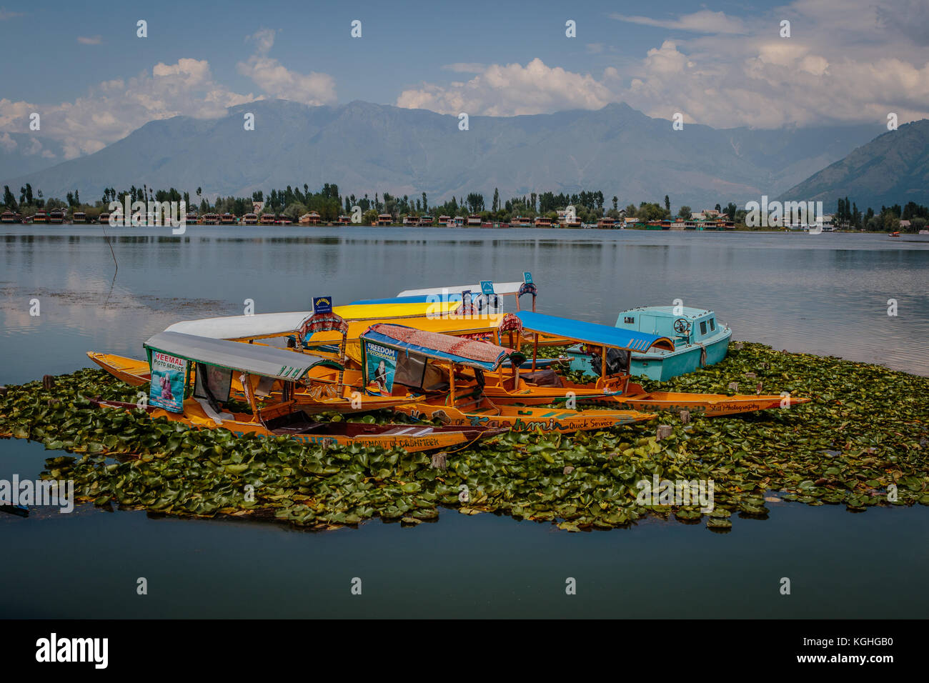 Parcheggio Shikara su dal lago Foto Stock