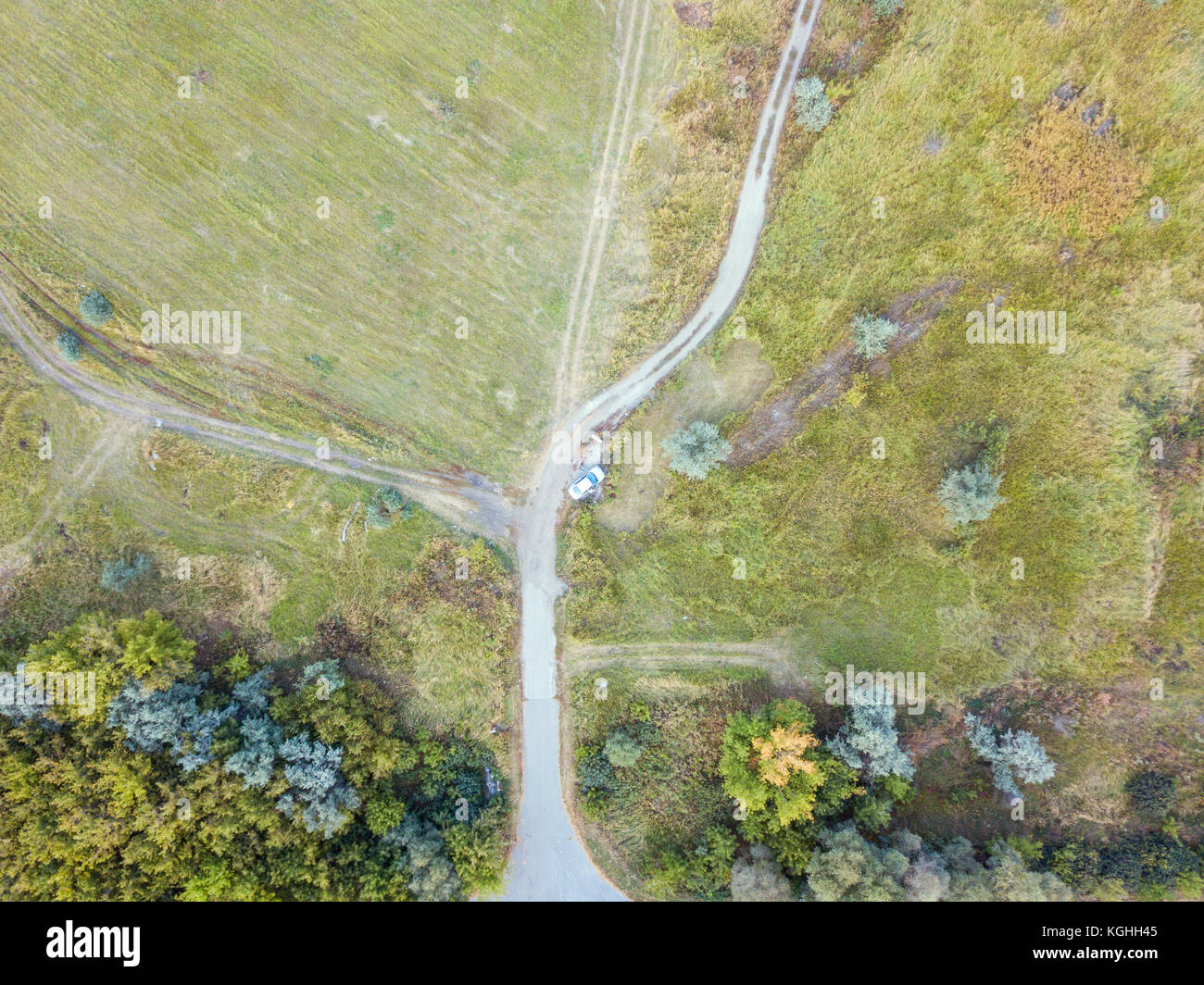 Foresta e campo con un sentiero la fotografia aerea Foto Stock