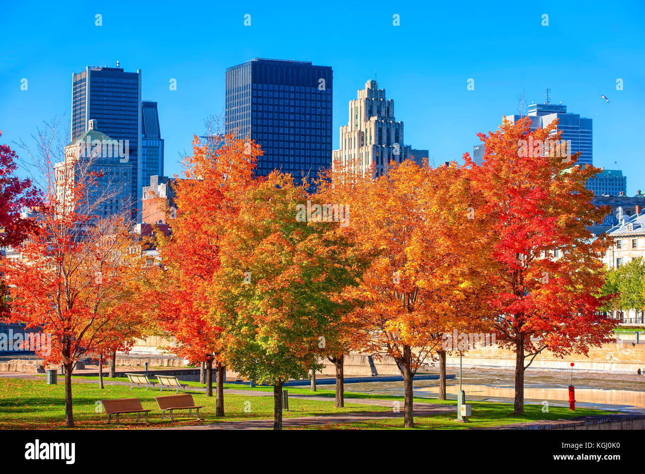 Lo skyline di montreal Foto Stock