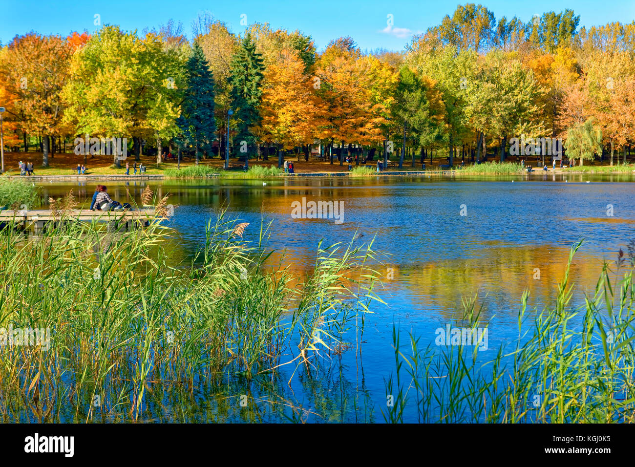 Lac des ruote orientabili, Parc du Mont Royal, Montreal, Canada Foto Stock