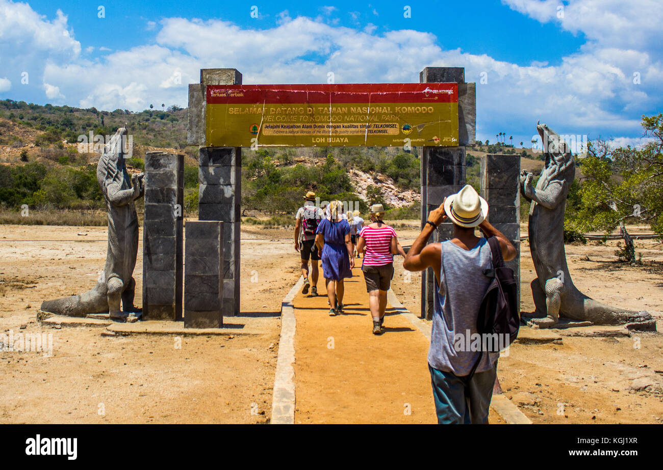 Drago di komodo sull isola di Komodo, centro per il patrimonio mondiale dell'UNESCO, INDONESIA Foto Stock