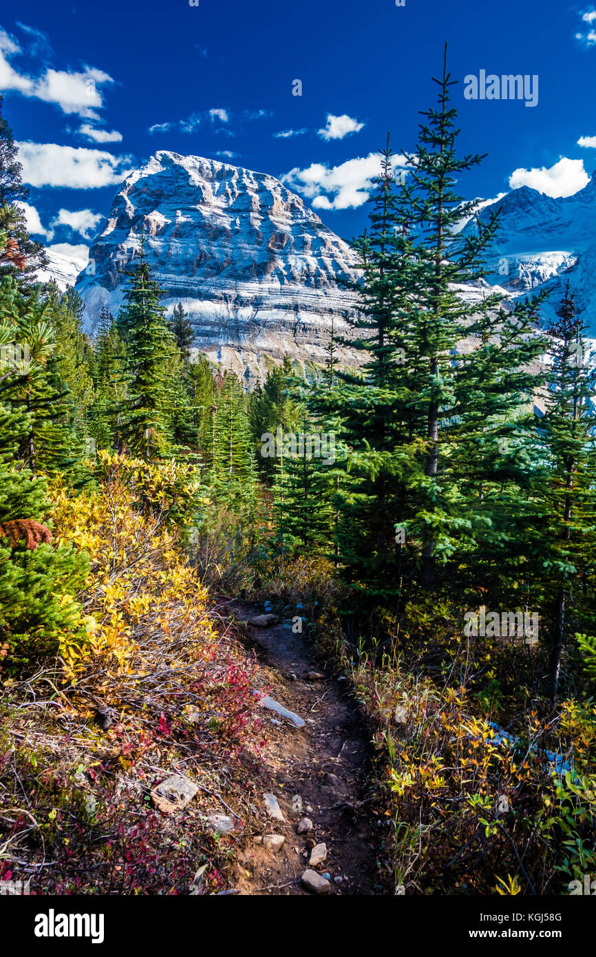 Deserto trail nel incontaminato ambiente montano Foto Stock