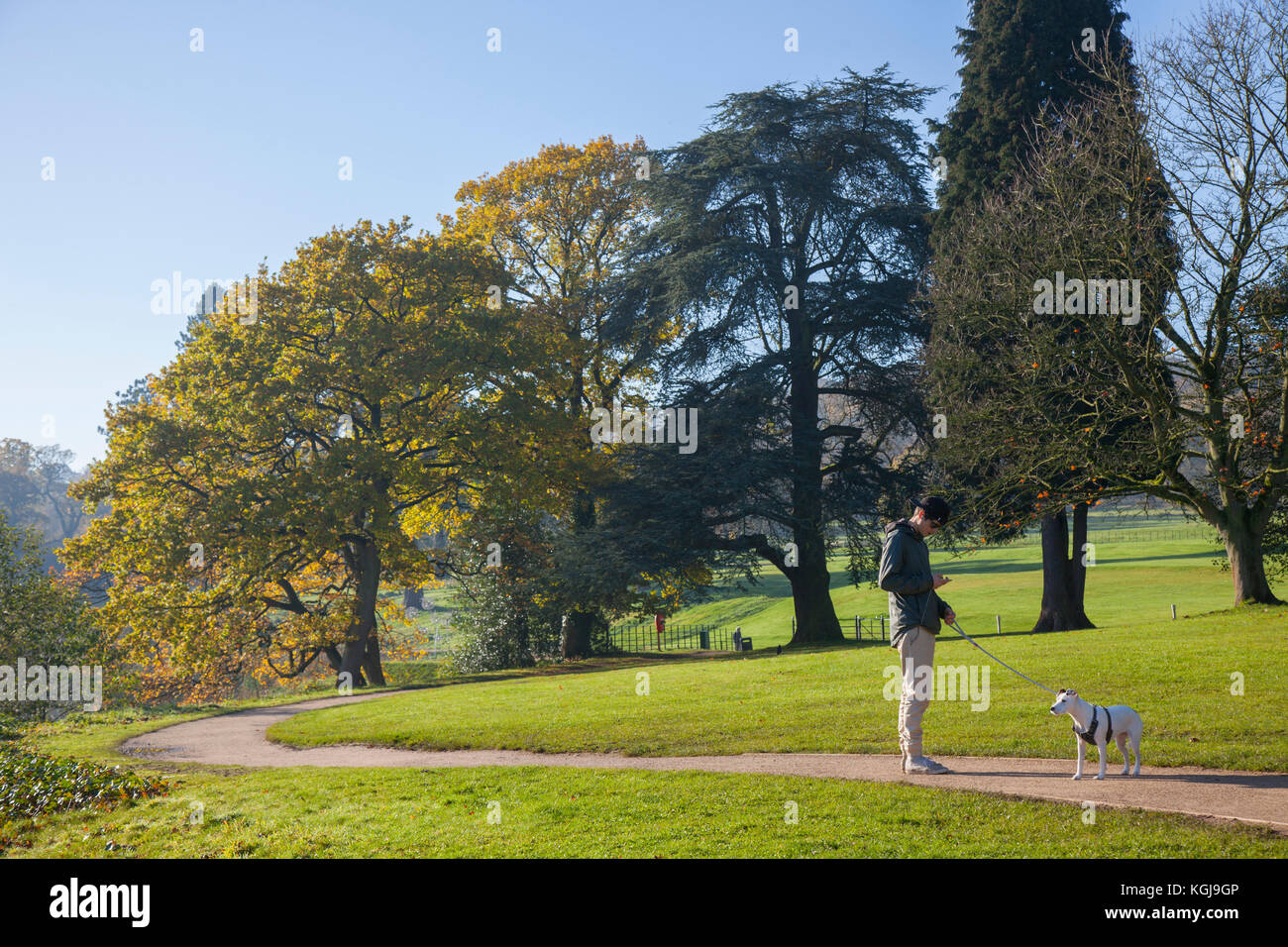 Stoke-on-Trent. Meteo Regno Unito. 8th novembre 2017. Luminosa partenza al sole per la giornata autunnale nei Trentham Gardens, nei boschi e nel parco. Trentham Gardens è lungo un chilometro e mezzo circa, Con un paesaggio dal design marrone E un lago Trentham con una passeggiata circolare lungo il lago che ti porta a fianco del fiume Trent, Foto Stock