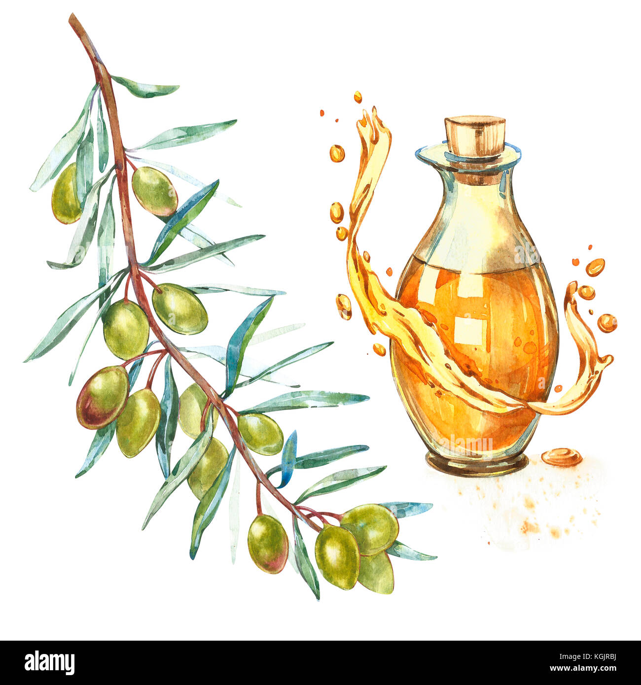 Un ramo di ripe olive verdi è succosa versata con olio. gocce e schizzi di olio d'oliva. acquerello e illustrazione botanica isolati su sfondo bianco. Foto Stock