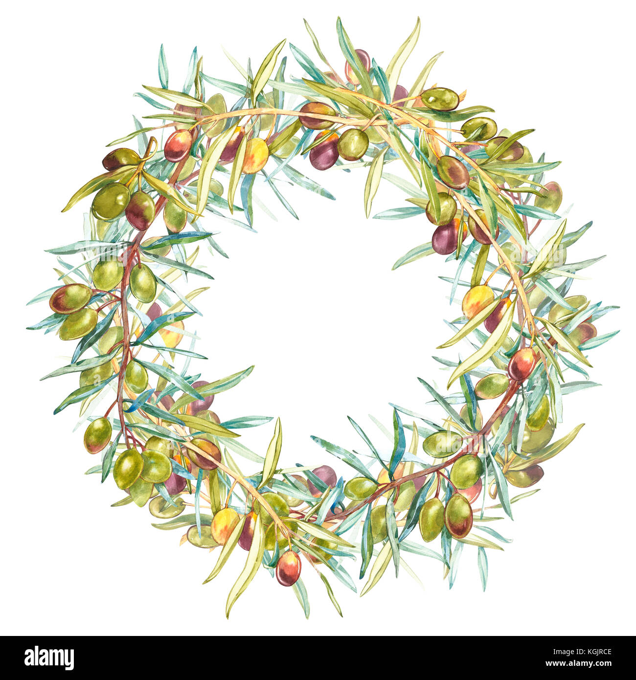 Acquerello colorata ghirlanda realistico con maturi olive nere e verdi sul round sullo sfondo bianco. Foto Stock
