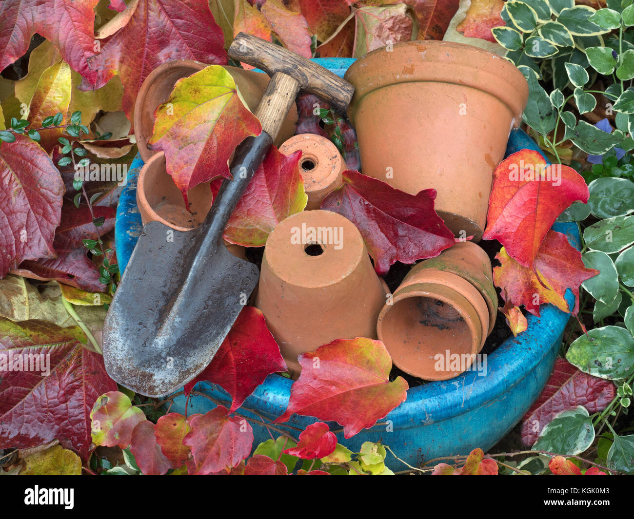 Tera cotta vasi di fiori, cazzuola a mano e foglie caduti del superriduttore Virginia Parthenocissus quinquefolia Foto Stock